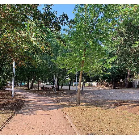 公寓 Cabourg, Plain Pied Avec Terrasse Acces Direct A La *