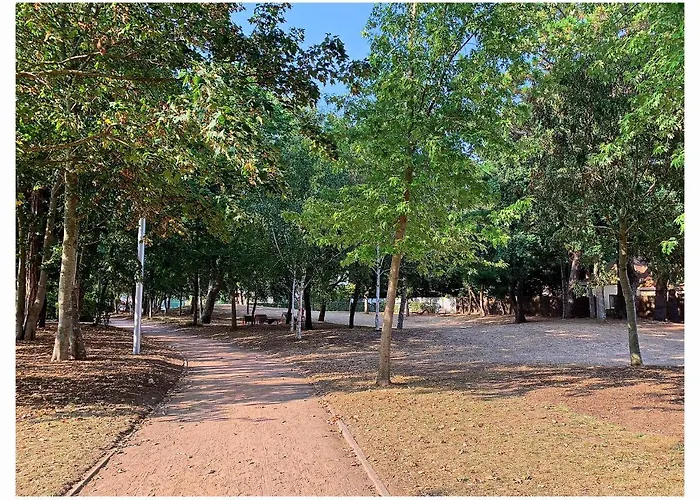 דירה Cabourg, Plain Pied Avec Terrasse Acces Direct A La *